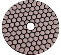 Алмазный гибкий шлифовальный круг АГШК Diam 100 мм, № 200 STD (Сухая) 000142
