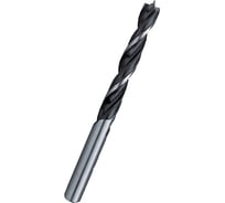 Сверло ECO по мягкому дереву (10х190/250 мм) PROJAHN 1910250