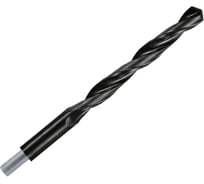 Сверло HSS-R (20х140/205 мм; DIN 338) по металлу Bosch 2608596663
