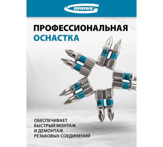 Набор бит (сталь S2; PZ 1х25 мм; 10 шт.) GROSS 11339