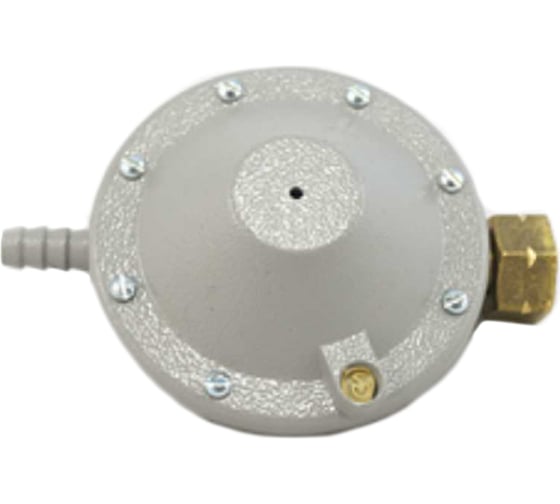 Регулятор давления РДСГ 1-1,2 ZW60001 Спец ZW60003