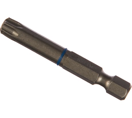 Биты "ЭКСПЕРТ" 2 шт. (50 мм; T40) Зубр 26015-40-50-2