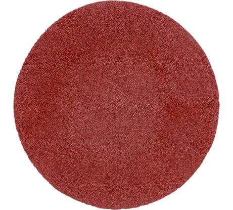 Шлифкруг на липучке 5 шт. по дереву (125 мм; К80) Энкор 20273