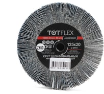 Круг лепестковый радиальный универсальный 125x20 мм, М14, Р60 Totflex 4631163848077