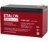 Аккумулятор премиум (12в / 7 ач) Etalon Battery fors 1207 1