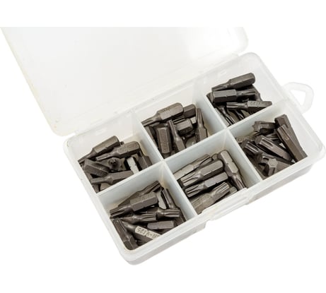 Набор бит 60 шт в пластиковом боксе, CrV, 233511-H60 Управдом 4100002285