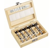 Набор композитных сверл (5 шт; 15-35 мм) по дереву Bosch 2607018750