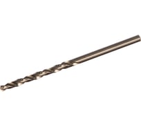 Сверло «ЭКСПЕРТ» по металлу (3х33/61 мм; Р6М5) Зубр 4-29625-061-3