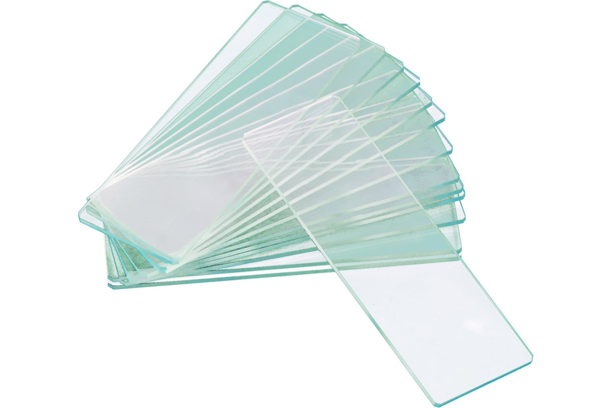 Стекла предметные с двумя лунками G50 2H 50 шт Levenhuk 73809 ...