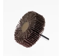 Круг лепестковый радиальный на дрель 60x20x6 мм, P40 TORGWIN T826241