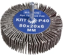 Круг лепестковый радиальный на дрель 80x20x6 мм, P80 TORGWIN T448188