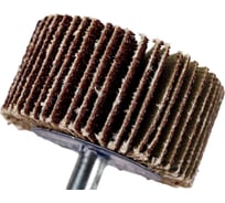 Круг лепестковый радиальный на дрель 40x20x6 мм, P80 TORGWIN T295300