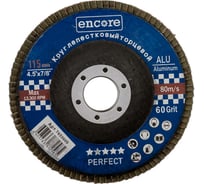 Круг лепестковый торцевой КЛТ1 115 мм, P60 TORGWIN T613609