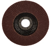 Диск наждачный лепестковый для УШМ (125х22,2 мм; Р100) FIT IT 39555
