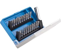 Набор бит ЭКСПЕРТ 21 предмет (25 мм) Зубр 26091-H21