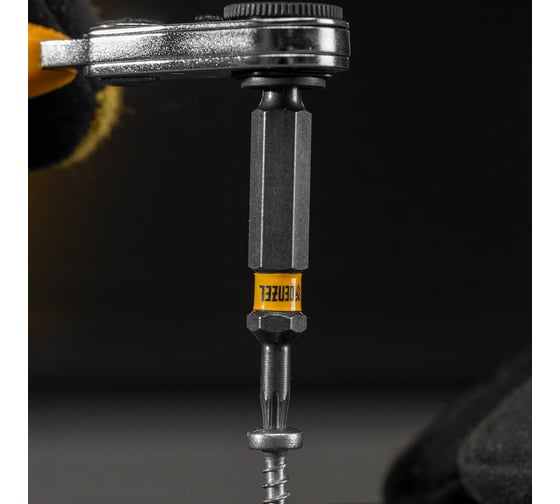 Набор бит TORX T10, 50 мм, сталь S2, шестигранный профиль, 10 шт Denzel 11667