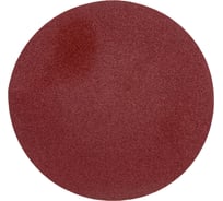 Круги шлифовальные 5 шт. (125 мм; Р100) FIT IT 39655