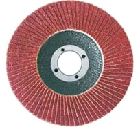 Диск лепестковый торцевой (125х22.2 мм; Р100) Контрфорс 107515