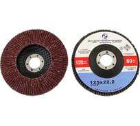 Круг лепестковый торцевой SA28003P КЛТ1 125x22.2 мм, 14А, А80, №20 CNIC 53715