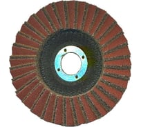 Круг ламельный шлифовальный по нержавеющей стали (125 мм) Metabo 626369000