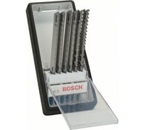 Набор пилок по металлу Robust Line 6 шт Bosch 2607010573