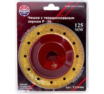 Круг обдирочный твердосплавный Альфа Диск 125x22 мм, P36 TORGWIN T124466