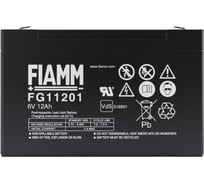 Аккумуляторная батарея 6 В, 12 Ач FIAMM FG11201