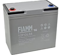 Батарея аккумуляторная 12 В, 55 Ач FIAMM 12FGL55