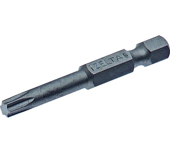 Бита Torx T25, 50 мм IZELTAS 4830210125