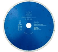 Диск алмазный Professional по керамограниту (250х25.4/22.2) для плиткорезов KEOS DBP01.250