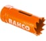 Кольцевая биметаллическая пила Bahco 3830-21-VIP 1