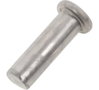 Комплект гвоздей AL 100 шт, 3x10 мм Blue Weld 802755