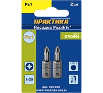 Бита PZ-1 Профи (2 шт; 25 мм) ПРАКТИКА 035-608