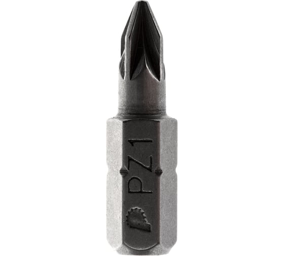 Бита PZ-1 Профи (2 шт; 25 мм) ПРАКТИКА 035-608