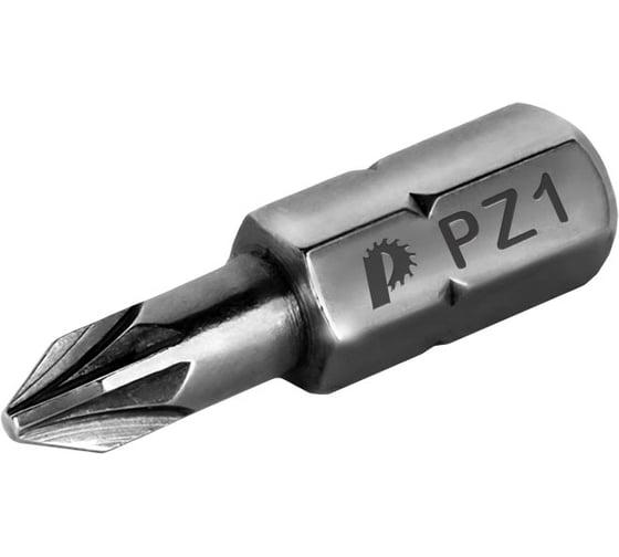 Бита PZ-1 Профи (2 шт; 25 мм) ПРАКТИКА 035-608