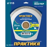 Диск алмазный Мастер (115х22.2 мм) ПРАКТИКА 030-610