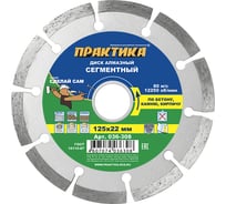 Диск алмазный сегментный (125х22.2 мм) ПРАКТИКА 036-308 15500778