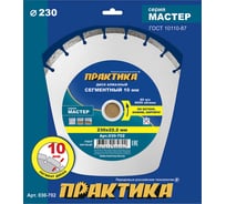 Диск алмазный сегментный Мастер (230х22.2 мм) ПРАКТИКА 030-702 15500783