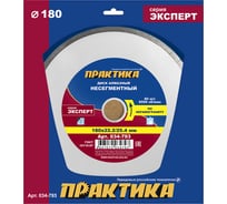 Диск алмазный по керамограниту Эксперт (180х25.4/22.2 мм) ПРАКТИКА 034-793