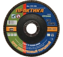 Круг лепесковый торцевой (125 мм; Р100) ПРАКТИКА 032-386