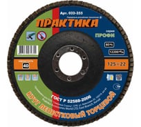 Круг лепестковый торцевой (125 мм; Р40) ПРАКТИКА 032-355