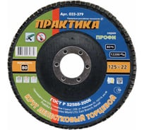 Круг лепесковый торцевой (125 мм; Р80) ПРАКТИКА 032-379