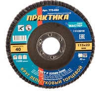 Круг лепестковый торцевой (115 мм; Р40) ПРАКТИКА 775-662