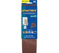 Лента шлифовальная (3 шт; 75х533 мм; P80) ПРАКТИКА 031-440
