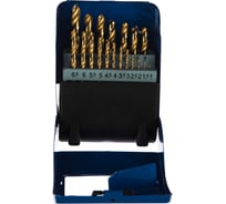 Набор сверл по металлу в металлической кассете DIY (19 шт; 1-10 мм) ПРАКТИКА 031-303