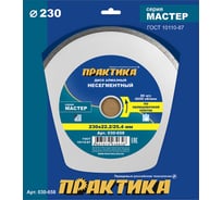 Диск алмазный Мастер (230х22.2/25.4 мм) ПРАКТИКА 030-658