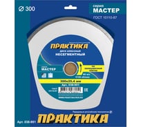 Диск алмазный Мастер (300х25.4 мм) ПРАКТИКА 038-951