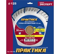 Диск алмазный Эксперт по армированному бетону (125х22.2 мм) ПРАКТИКА 030-764 15502669