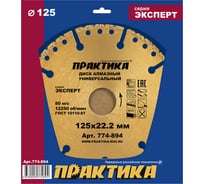 Диск алмазный сегментный Эксперт-Универсал (125х22.2 мм) ПРАКТИКА 774-894 15502665