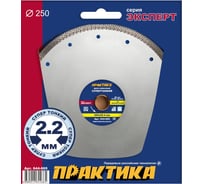 Диск алмазный супер тонкий (250х25.4 мм) ПРАКТИКА 644-665